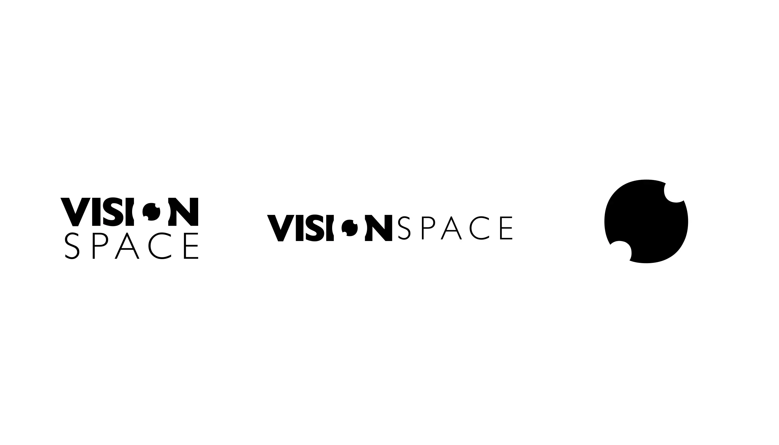 Vision Space: VisionSpace Logo, image 4 of 5