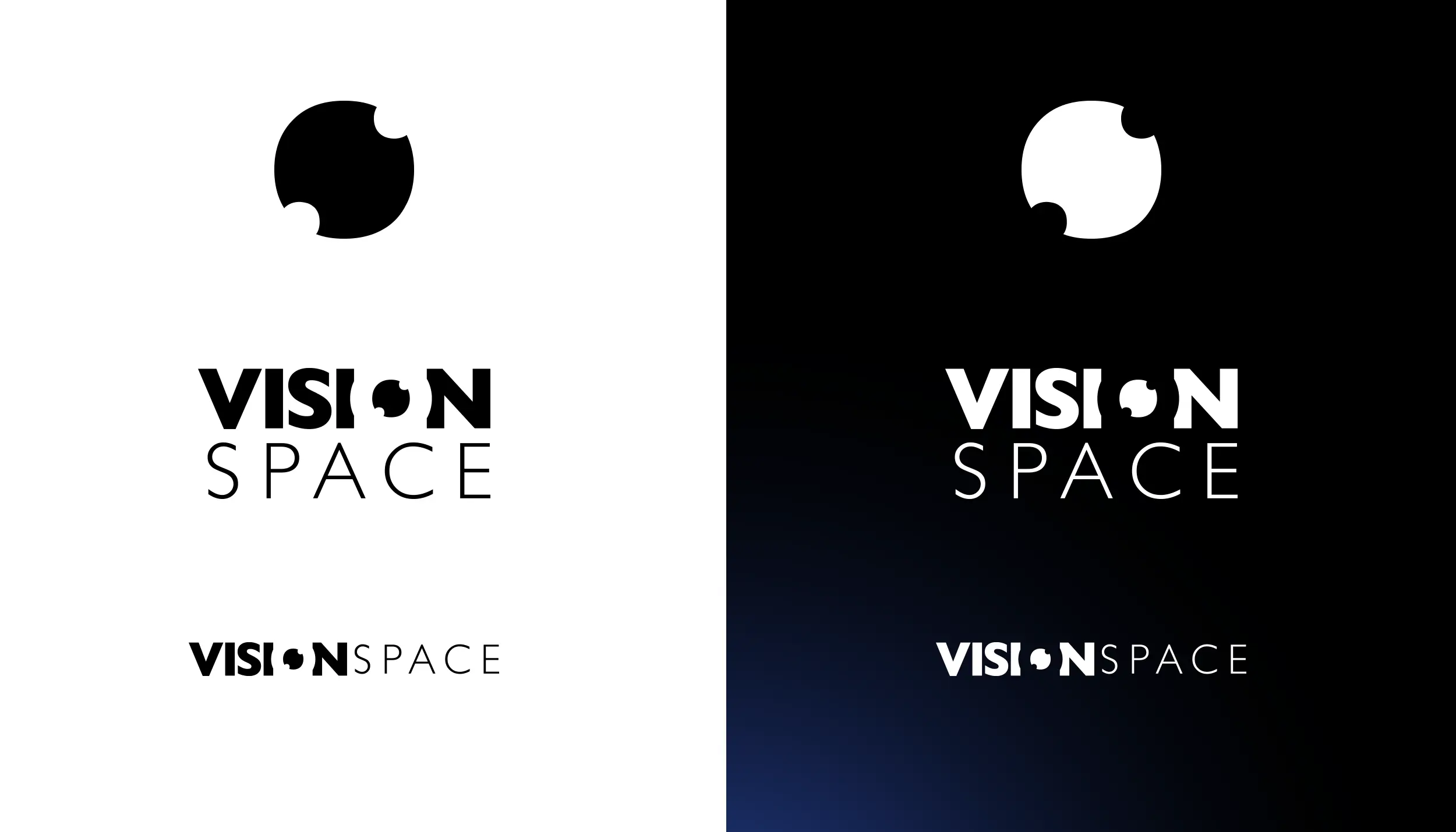 Vision Space: VisionSpace Logo, image 5 of 5